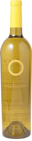 2008 OPTU White
